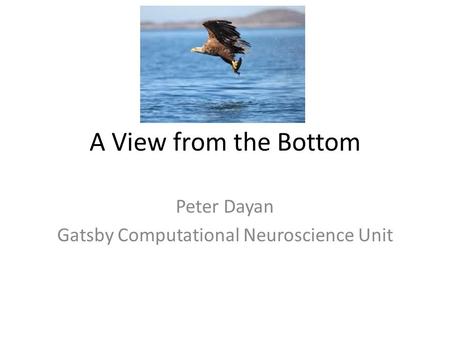 A View from the Bottom Peter Dayan Gatsby Computational Neuroscience Unit.