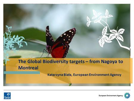 SEBI Indicator developments Katarzyna Biała European Environment Agency Katarzyna Biała, European Environment Agency The Global Biodiversity targets –