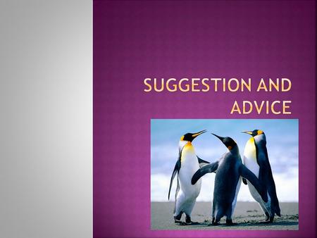 .  What do you recommend for headache ?  You’d better to see a dentist.  Why don’t you see a doctor ?  I think you should study hard. How about going.