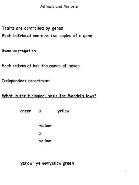 1 Mitosis and Meiosis Traits are controlled by genes Each individual contains two copies of a gene. Gene segregation Each individual has thousands of genes.