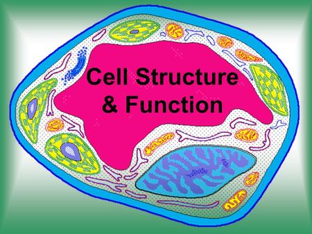 Cell Structure & Function. Cell Theory All living things are made up of cells. Cells are the basic unit of structure and function in living things. All.