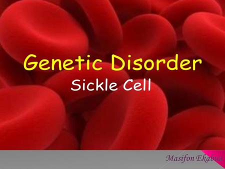  SCA  Hemoglobin  How it is acquired  Symptoms  What happens in SCA  Treatment.