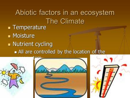 Abiotic factors in an ecosystem The Climate Temperature Temperature Moisture Moisture Nutrient cycling Nutrient cycling All are controlled by the location.