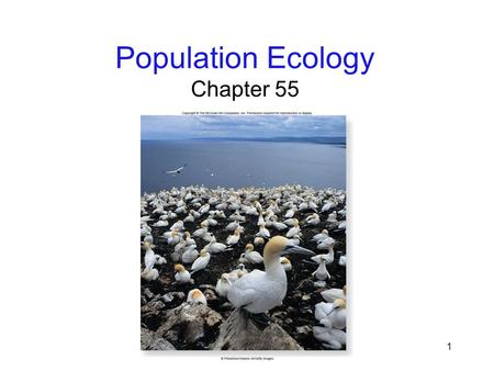 1 Population Ecology Chapter 55 2 Environmental Challenge Ecology: the study of how organisms relate to one another and to their environments Abiotic: