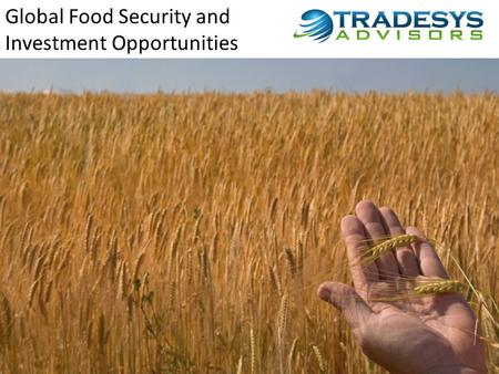 Global Food Security and Investment Opportunities.