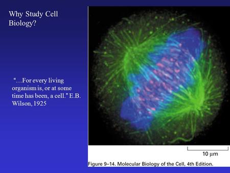 Cell Biology 4/25/2017 Why Study Cell Biology?