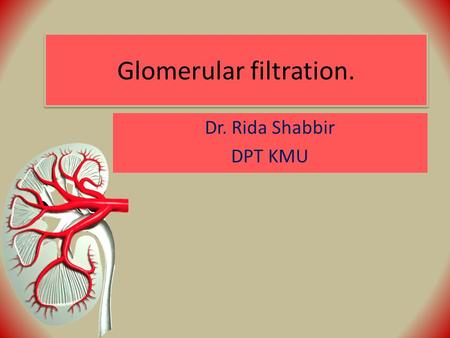 Glomerular filtration. Dr. Rida Shabbir DPT KMU. Functions of kidney: Excretion of metabolic waste products and foreign chemicals. Regulation of water.