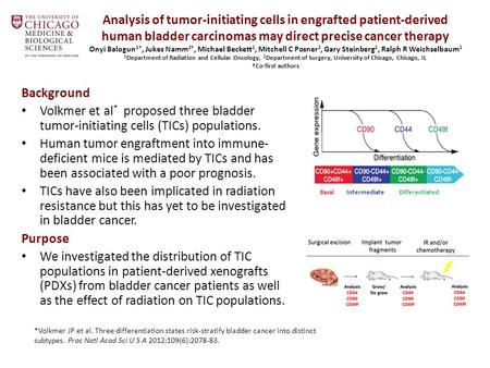 Analysis of tumor-initiating cells in engrafted patient-derived human bladder carcinomas may direct precise cancer therapy Onyi Balogun 1†, Jukes Namm.