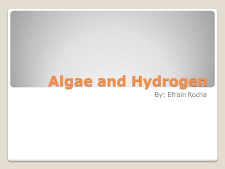 Algae and Hydrogen By: Efrain Rocha. Its used for: algae Hydrogen Algae is used for a source for natural deposits Many companies are funding efforts to.