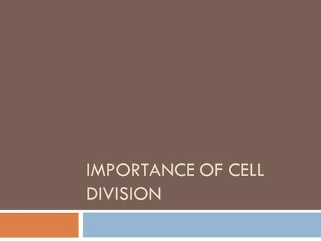 Importance of Cell Division