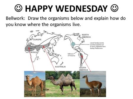 HAPPY WEDNESDAY Bellwork: Draw the organisms below and explain how do you know where the organisms live.