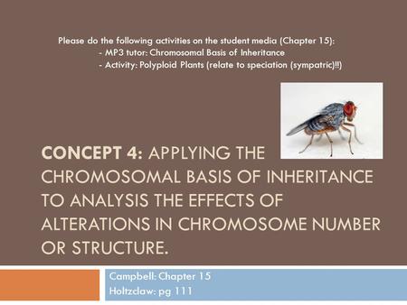 CONCEPT 4: APPLYING THE CHROMOSOMAL BASIS OF INHERITANCE TO ANALYSIS THE EFFECTS OF ALTERATIONS IN CHROMOSOME NUMBER OR STRUCTURE. Campbell: Chapter 15.