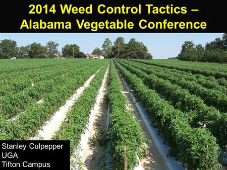 2014 Weed Control Tactics – Alabama Vegetable Conference Stanley Culpepper UGA Tifton Campus.