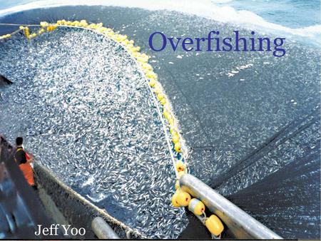 Overfishing Jeff Yoo. What is Overfishing? Overfishing can be defined in many way but it all comes down to one simple point: Catching too much fish. Fishing.