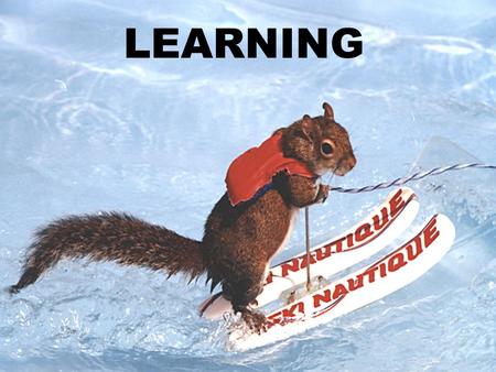 LEARNING. Ivan Pavlov (1849–1936) Classical Conditioning basic learning process discovered by Pavlov that involves repeatedly pairing a neutral.