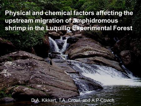 Physical and chemical factors affecting the upstream migration of amphidromous shrimp in the Luquillo Experimental Forest D.A. Kikkert, T.A. Crowl, and.