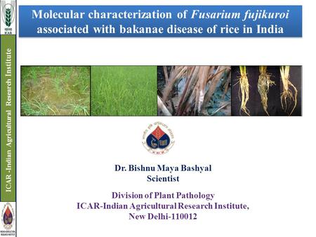 Molecular characterization of Fusarium fujikuroi associated with bakanae disease of rice in India Dr. Bishnu Maya Bashyal Scientist Division of Plant Pathology.