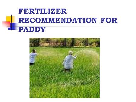 FERTILIZER RECOMMENDATION FOR PADDY