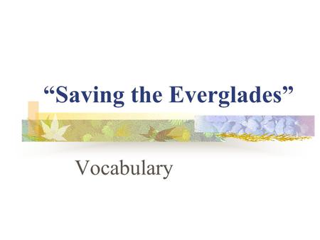 “Saving the Everglades” Vocabulary. soggy Some animals make their soggy homes in the watery Everglades.