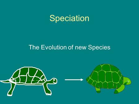 Speciation The Evolution of new Species. Speciation The formation of new species from existing species Macroevolution Species = population/group in nature.