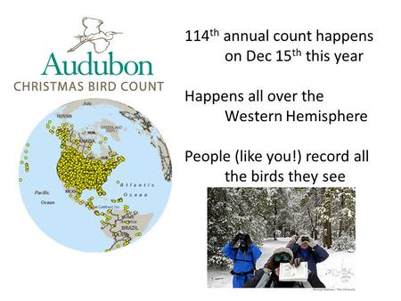 114 th annual count happens on Dec 15 th this year Happens all over the Western Hemisphere People (like you!) record all the birds they see.