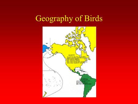 Geography of Birds. Palearctic Region Largest region Site of origin of all birds Great diversity of habitats Poor bird variety (cold climate, sharply.