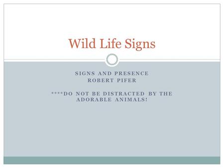 SIGNS AND PRESENCE ROBERT PIFER ****DO NOT BE DISTRACTED BY THE ADORABLE ANIMALS! Wild Life Signs.