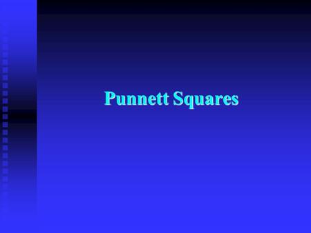 Punnett Squares. Illustrates how the parents’ alleles might combine in offspring. Illustrates how the parents’ alleles might combine in offspring. One.