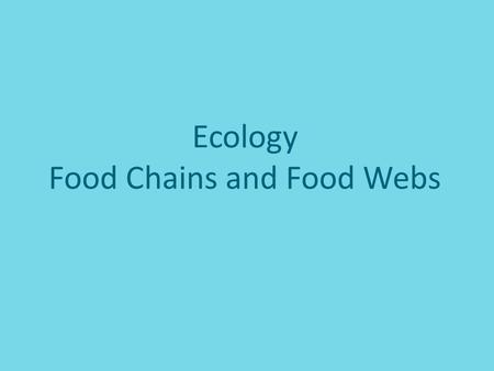 Ecology Food Chains and Food Webs. What Eats What???