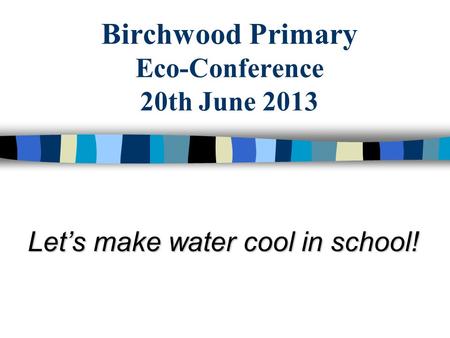 Birchwood Primary Eco-Conference 20th June 2013