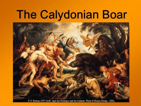 The Calydonian Boar Why the Boar? King of Calydon, Oeneus, gave thanks to the gods for a great harvest –Fruit of the grain to Ceres –Olive oil to Minerva.