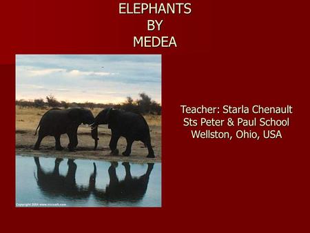 ELEPHANTS BY MEDEA Teacher: Starla Chenault Sts Peter & Paul School Wellston, Ohio, USA.