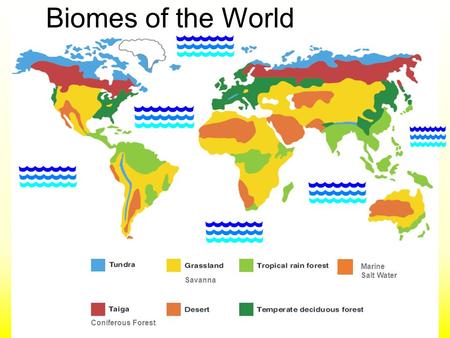 Biomes of the World Marine Salt Water Savanna Coniferous Forest.