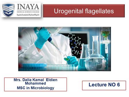 Urogenital flagellates