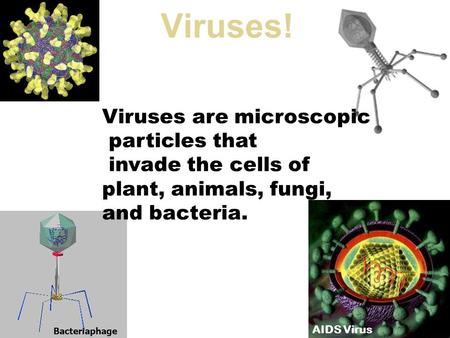 Viruses! Viruses are microscopic particles that