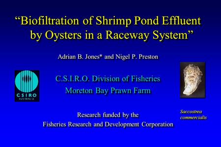 “Biofiltration of Shrimp Pond Effluent by Oysters in a Raceway System” Adrian B. Jones* and Nigel P. Preston C.S.I.R.O. Division of Fisheries Moreton Bay.