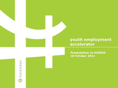 Presentation to VOSESA 18 October 2011 youth employment accelerator.