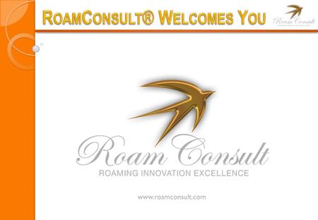 Www.roamconsult.com. RoamConsult is a boutique consulting firm based in Malaysia and South Africa, specializing in all Aspects of International Roaming.