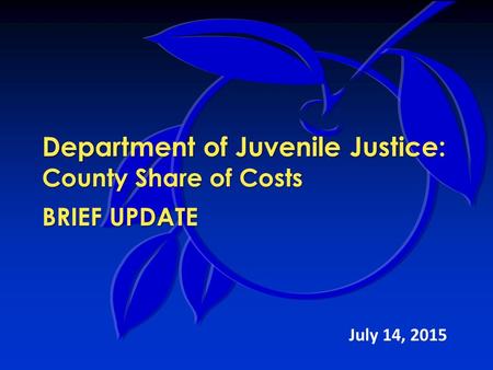 Department of Juvenile Justice: County Share of Costs BRIEF UPDATE July 14, 2015.