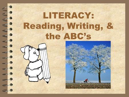 LITERACY: Reading, Writing, & the ABC’s. Nonsense Stories #1 and 2 Use the formula to create another version of a story: 1. Name a person or animal. 2.