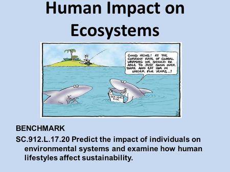 Human Impact on Ecosystems