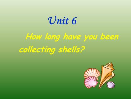 Unit 6 How long have you been collecting shells?