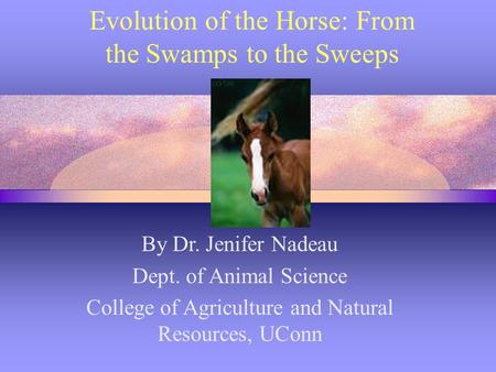 Evolution of the Horse: From the Swamps to the Sweeps