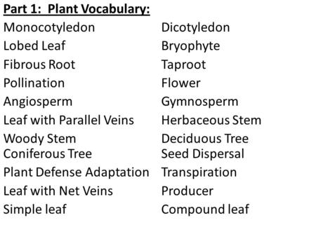 Part 1: Plant Vocabulary: Monocotyledon Dicotyledon Lobed Leaf Bryophyte Fibrous Root Taproot Pollination Flower Angiosperm Gymnosperm Leaf with Parallel.