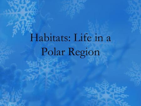 Habitats: Life in a Polar Region. What do polar region habitats look like? The only people that live in the Antarctic are scientists in research stations.