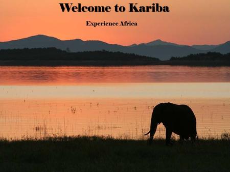 Welcome to Kariba Experience Africa. Content  Location  Culture  Activities  History.