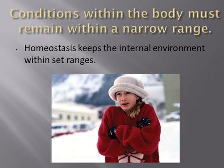 Homeostasis keeps the internal environment within set ranges.