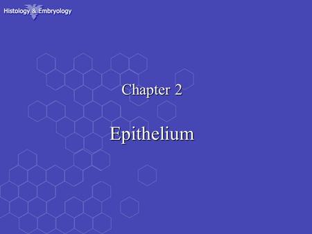 Chapter 2 Epithelium. 1.General feature: 1.General feature: 1) contain more cells and less extracellular ground substance 2) Polarisaton: ---free outer.