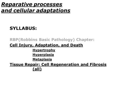 Reparative processes and cellular adaptations SYLLABUS: RBP(Robbins Basic Pathology) Chapter: Cell Injury, Adaptation, and Death Hypertrophy Hyperplasia.