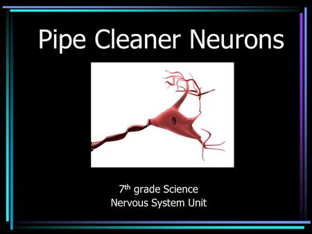 Pipe Cleaner Neurons 7 th grade Science Nervous System Unit.